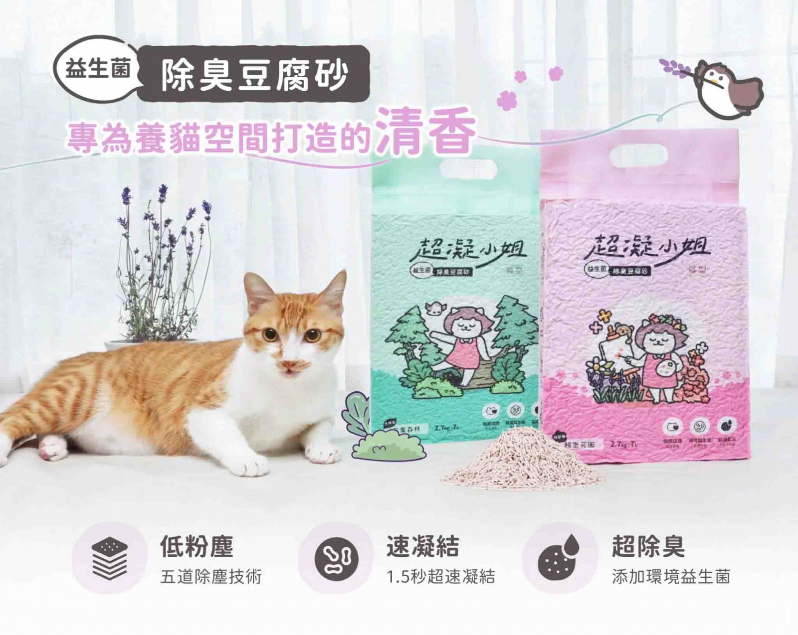 超凝小姐-益生菌除臭豆腐砂