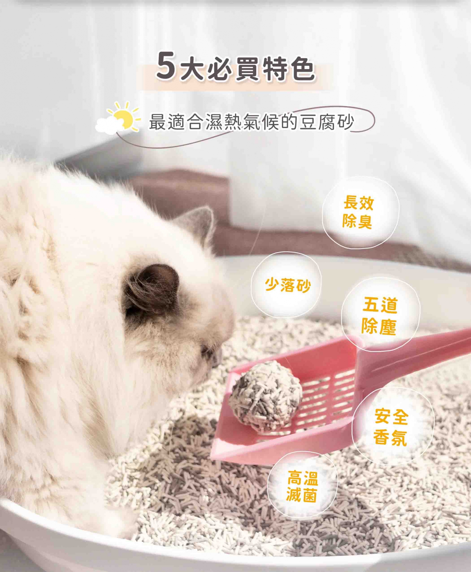 超凝小姐-益生菌除臭豆腐砂