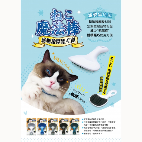 寵物按摩集毛梳-A4廣告-01