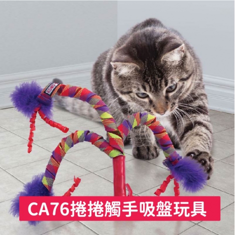 KONG-貓玩具_CA76