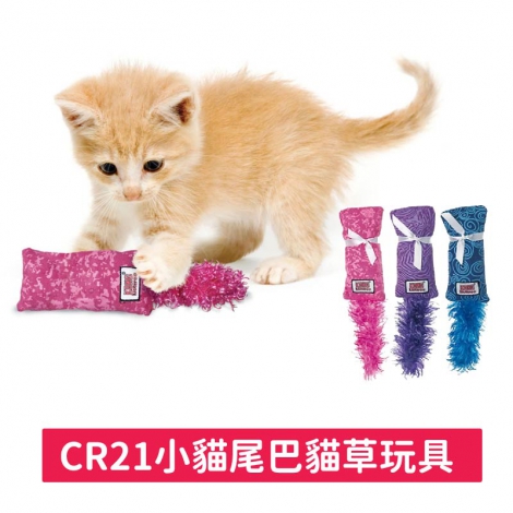 KONG-貓玩具_CR21