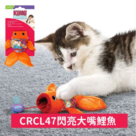 KONG-貓玩具_CRCL47