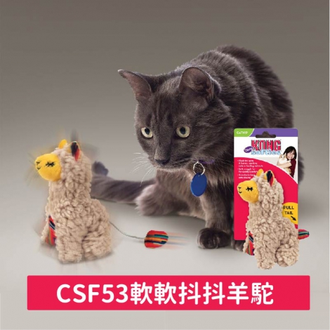 KONG-貓玩具_CSF53