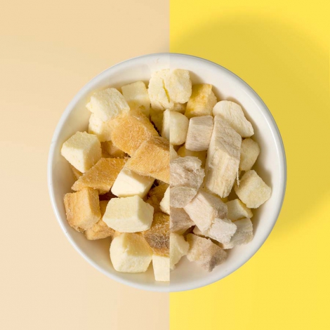 plates_with_two_flavor