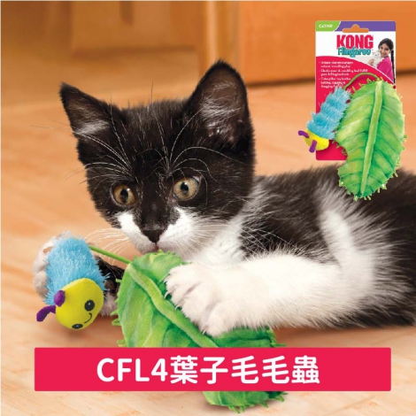 KONG-貓玩具_CFL4