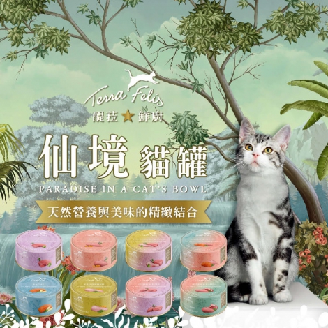 醍菈鮮廚-TerraCanis-仙境貓罐80g_官網公版(白底)