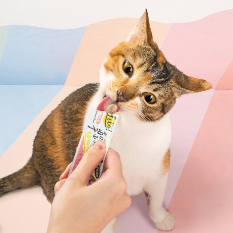 litovitaminmousse-03