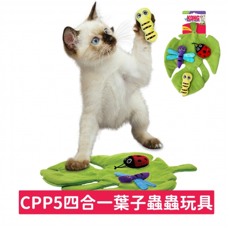 KONG-貓玩具_CPP5