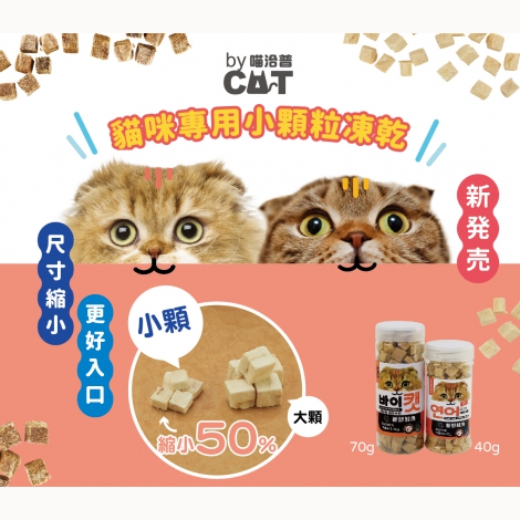 小顆粒凍乾-dm-01