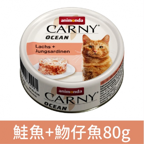 卡恩_海洋罐_鮭魚+魩仔魚80g