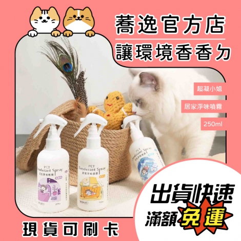 超凝小姐-Lady N-居家淨味噴霧250ml_蕎逸官方店公版