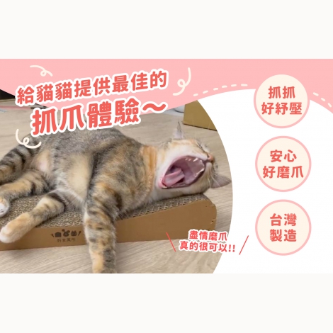 cat scratching post_02