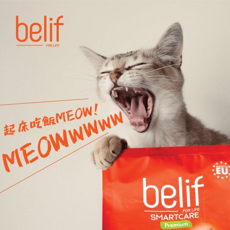 BELIF_C02