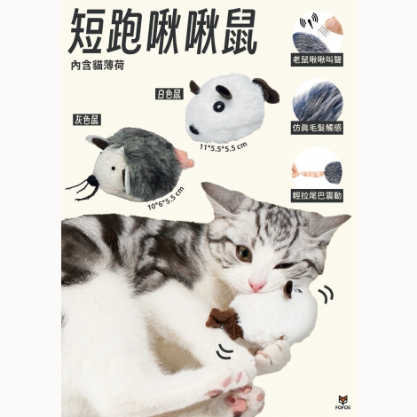 短跑啾啾鼠