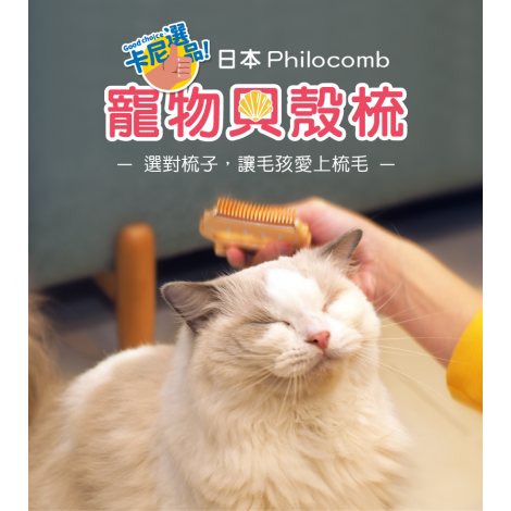 貝殼梳銷售頁