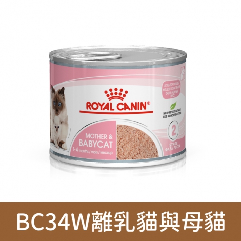 皇家-貓主食濕糧_BC34W離乳貓與母貓BC34W離乳貓與母貓