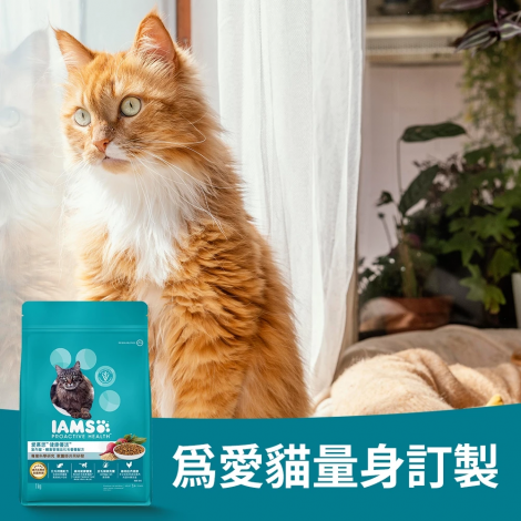 IAMS26