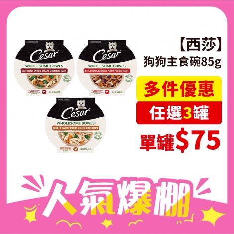 LINE_ALBUM_615-713 26檔_250610_86