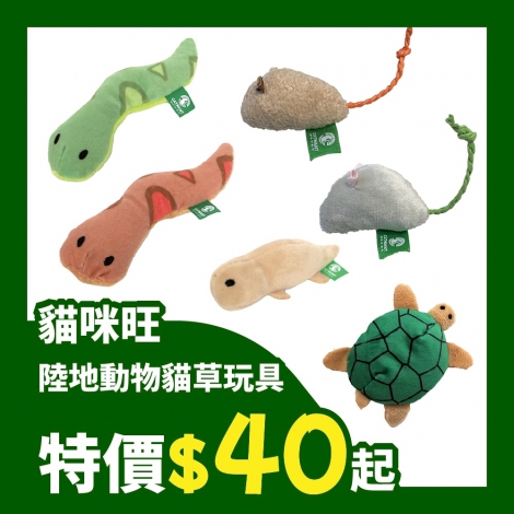 LINE_ALBUM_615-713 26檔_250610_92