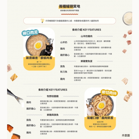 貓罐_6
