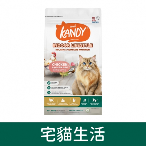 康蒂-kandy-貓糧_宅貓生活
