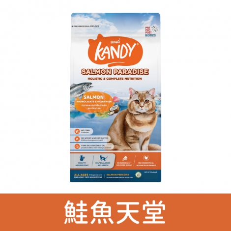 康蒂-kandy-貓糧_鮭魚天堂