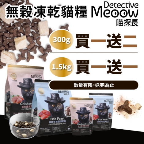 工作區域 1 複本