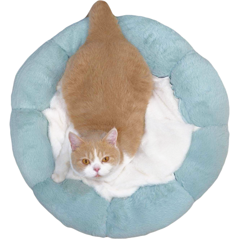 阿毛-花朵床墊02