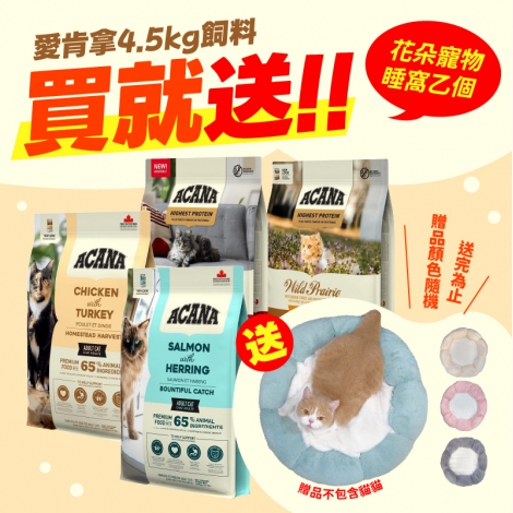 愛肯拿【買一送睡床】BANNER_145 複本