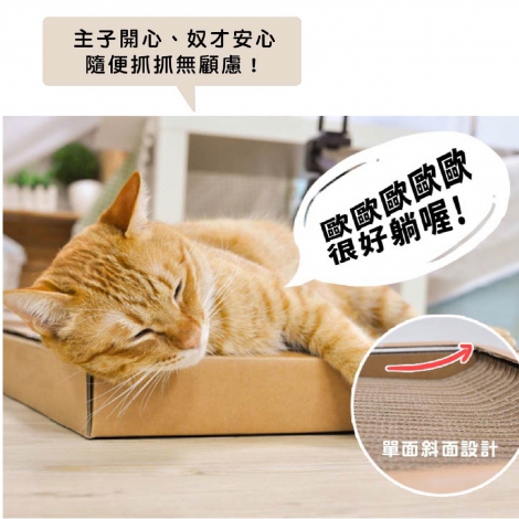 貓樂園_隨喵抓_CS6_官網公版(白底)
