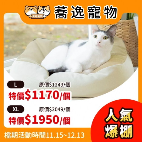 LINE_ALBUM_31檔 1115-1213_251114_20