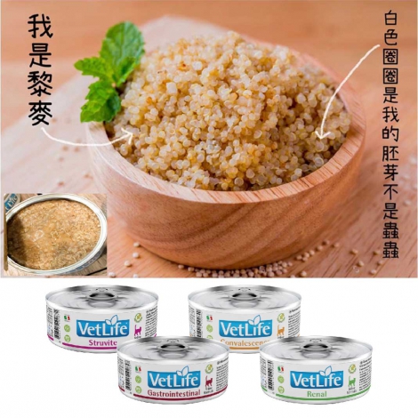 法米納-Farmina-獸醫寵愛處方貓罐85g_官網公版(白底)