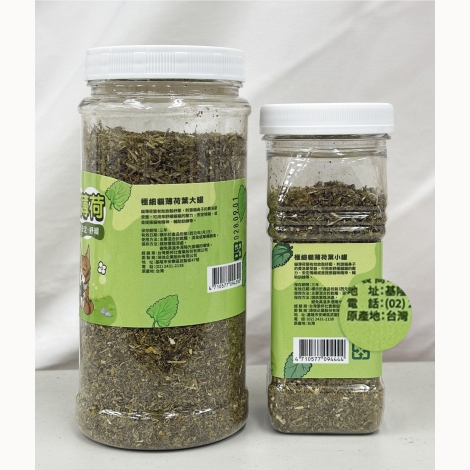 驕傲貓貓薄荷產地-台灣02