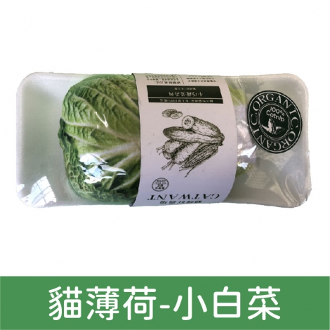 貓咪旺農場_貓咪玩具_貓薄荷-小白菜