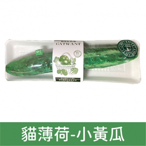 貓咪旺農場_貓咪玩具_貓薄荷-小黃瓜